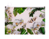 Папка на ZIP (250*170), PION, ARABESKI, блакитна